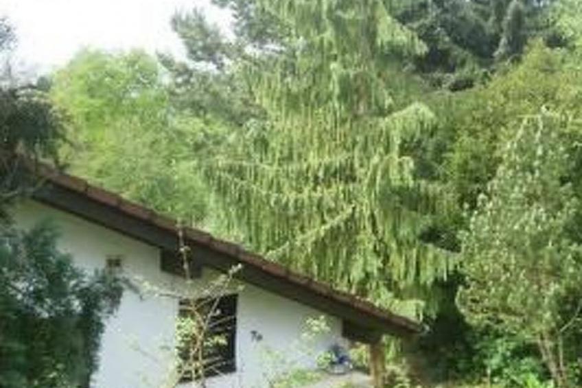 Schlossblick mit Teilseeblick - foto 13