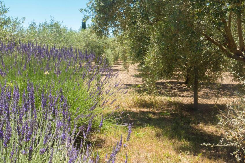 mit Terrasse - foto 23