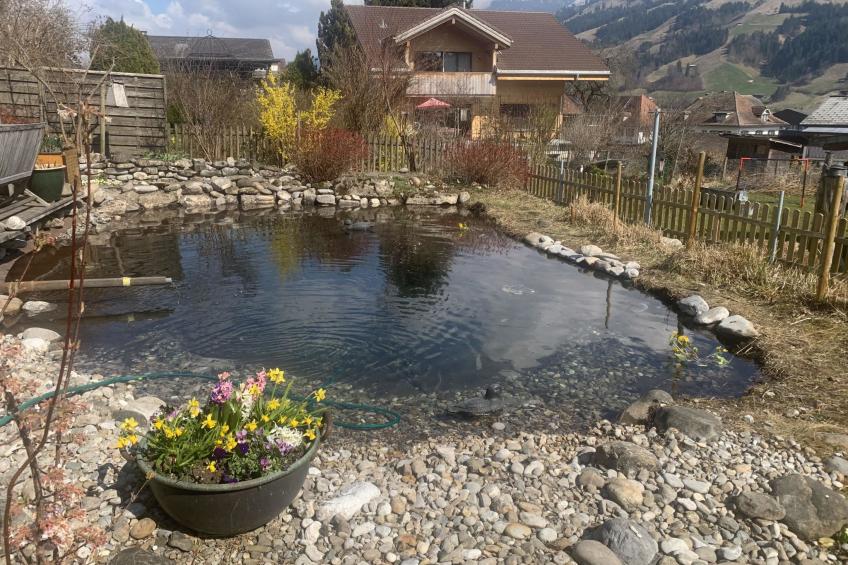 Gartenstudio "Belle Vue" - foto 9