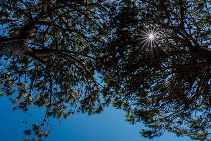 Villa a 150m dal mare, wifi e Kochkurs kostenlos - foto 23