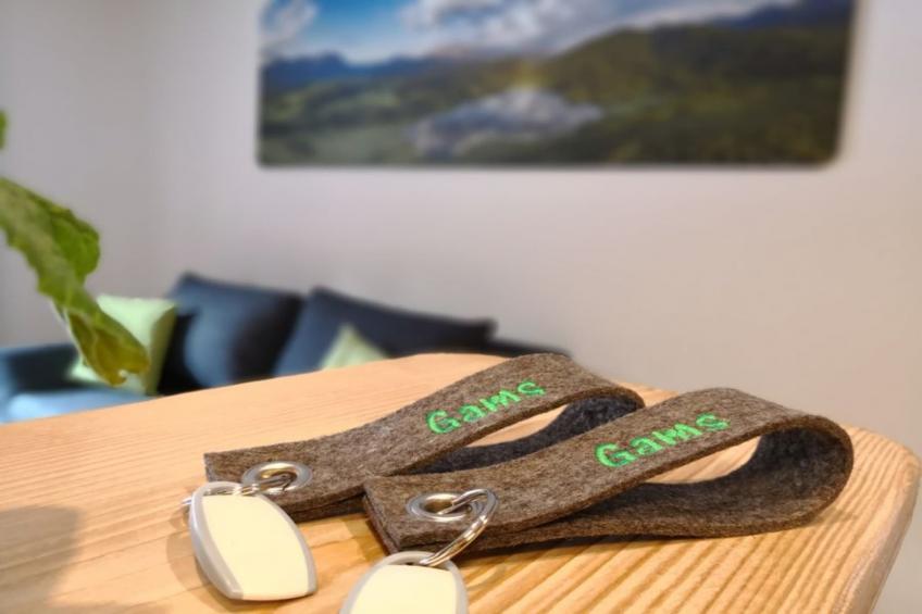 Ferienhaus Badersee - alle Einheiten zusammen - foto 39