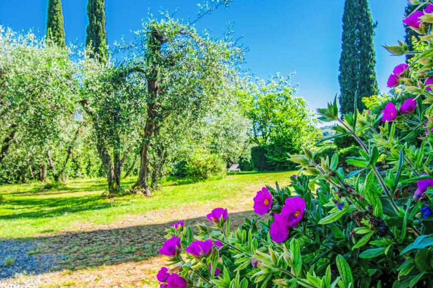 Il Fienile - foto 33