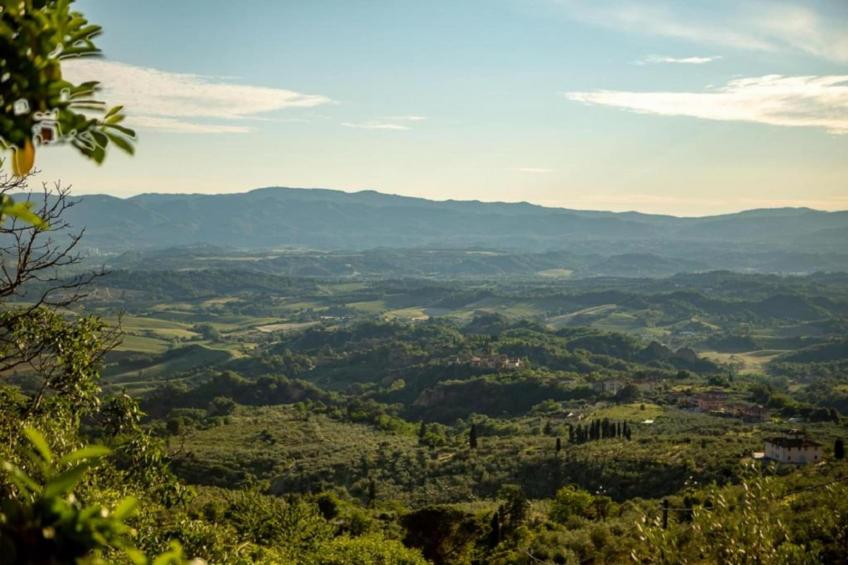 Podere Pulicciano Orciaia - foto 30