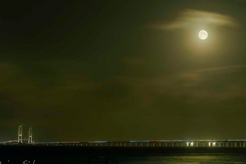 Skærven Beachfront Wohnung - foto 31