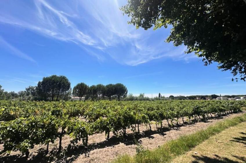 Résidence Gîte Du Mas - Charmant Gîte Provençal Avec Jardin Commun - foto 3