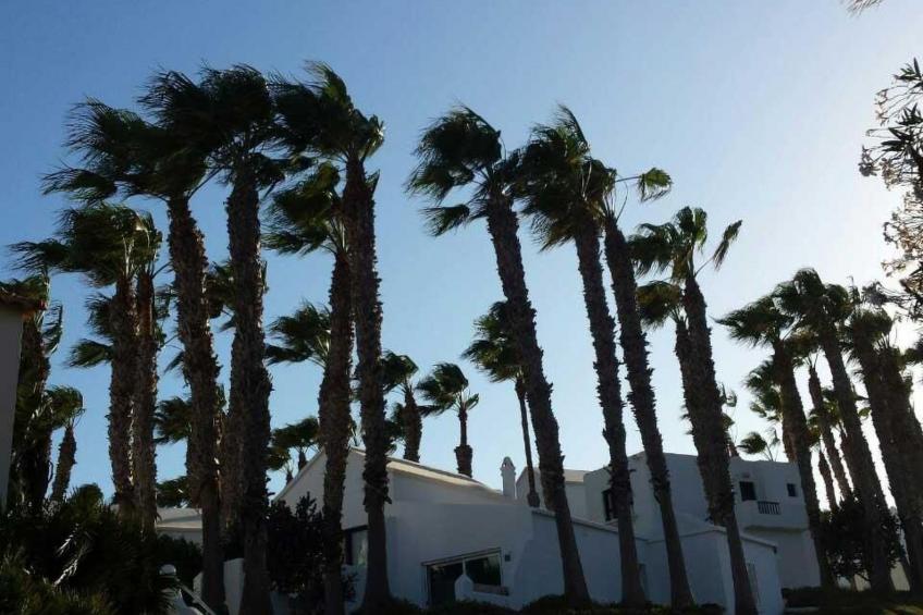 Wohnung "Costa Calma" mit gemeinschaftlichem Pool - foto 31