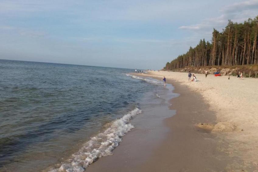 Dom całoroczny - foto 40