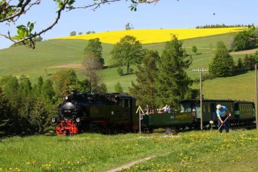 Fewo Katzengold - foto 12