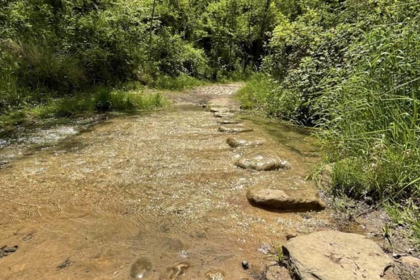 Aprt Los Molinos Untergeschoss A, Lucena del cid Ref 049 - foto 4