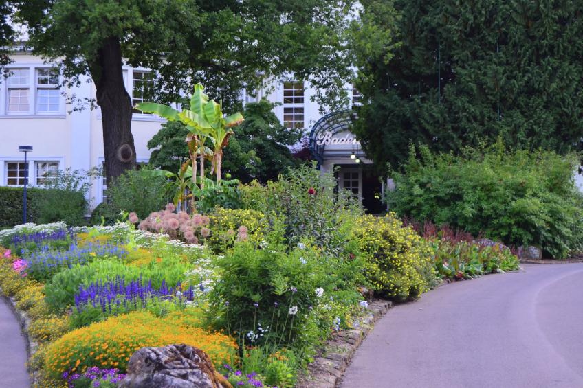 Am Ferienbauernhof - foto 36