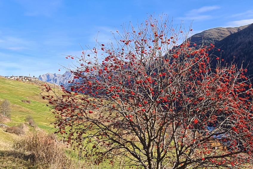 Wohnung mit atemberaubender Aussicht - foto 18