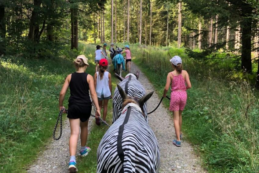 Tieroase Grünegg - foto 18