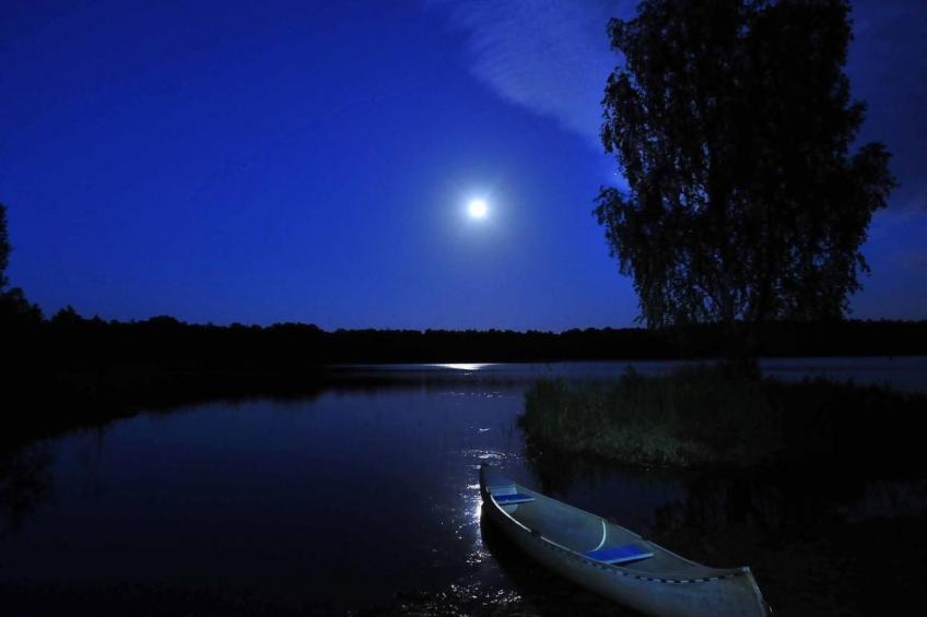Villa "Vitasjö" mit Terrasse, Grill und Garten - foto 39