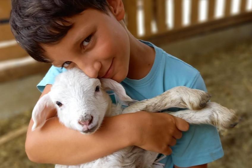 Appartement Apollo in der Wohlfühloase am Trausdorfberg mit Sauna Whirlpoolnutz - foto 45