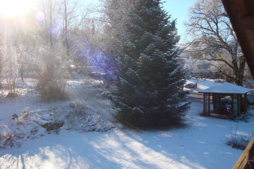 in Bayerisch Eisenstein mit Garten - foto 21
