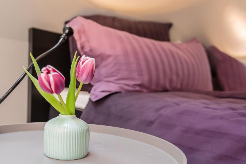 Charmante Wohnung in Holzhausen mit Grill - foto 18