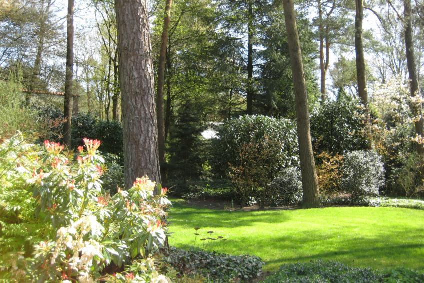 Bosrijk Ruighenrode - foto 13