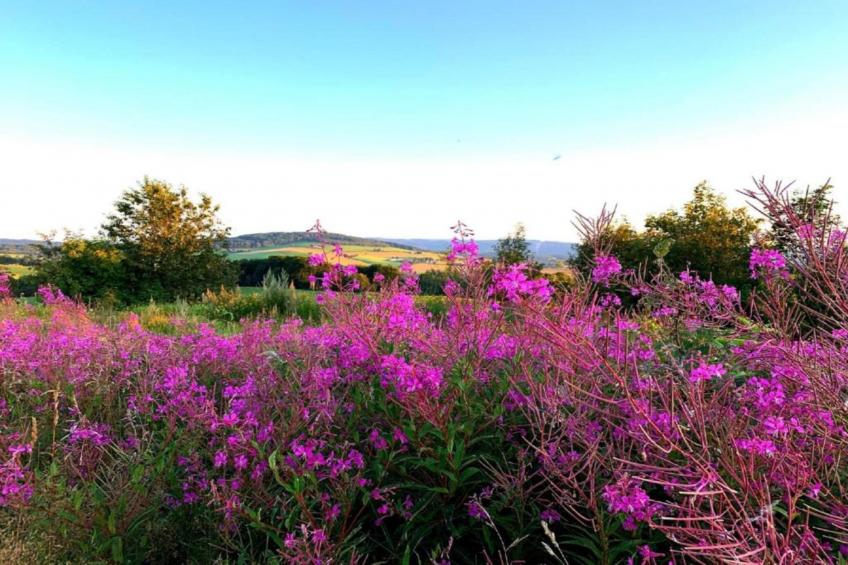Ferienwohnung an der Talsperre Rauschenbach - foto 37