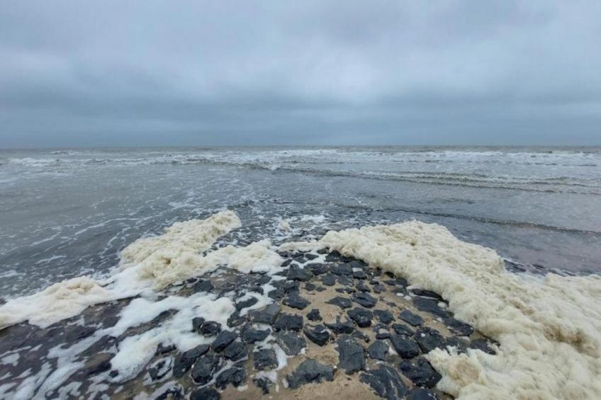 Zilte Bries - foto 33