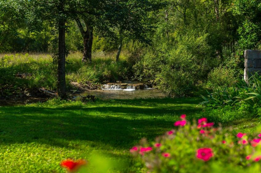 Villa Alte Mühle - foto 29