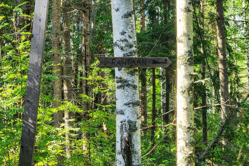 Villa soittoranta - foto 12