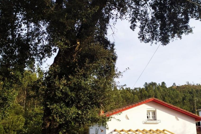 Freistehendes Ferienhaus Maria La Franca - foto 2