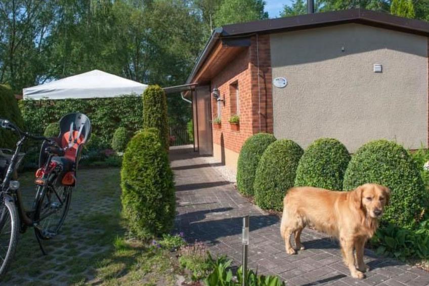in Alt-Schadow mit Grill und Terrasse - foto 11