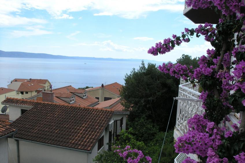 "Dobrila" direkt am Strand - foto 29