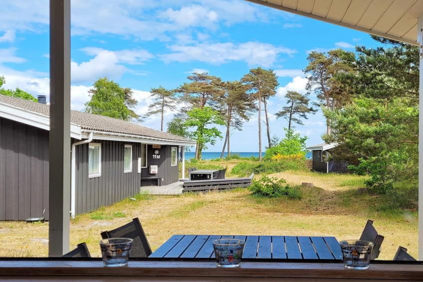 FUGLEKONGEN - foto 14