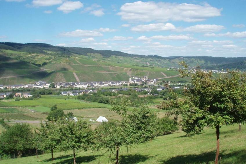 Weingut Justen-Kiebel - foto 27