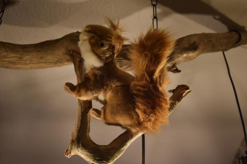 Odenwaldwellness - foto 18