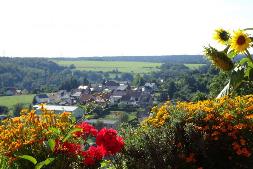 FeWo Panorama - foto 28