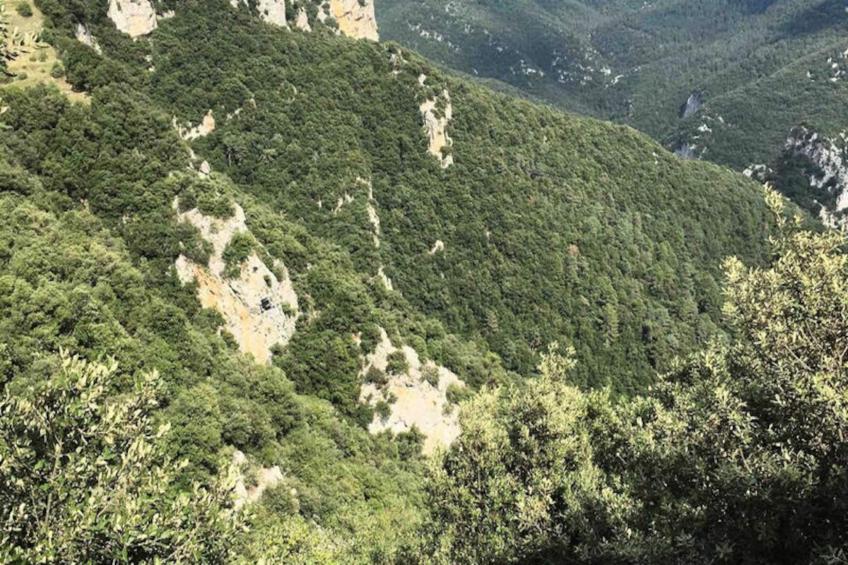 Appartements à Montagut i Oix - foto 48