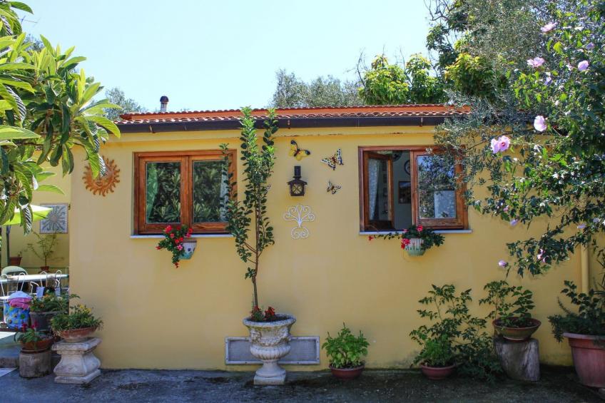 Sonnenstrahl - foto 31