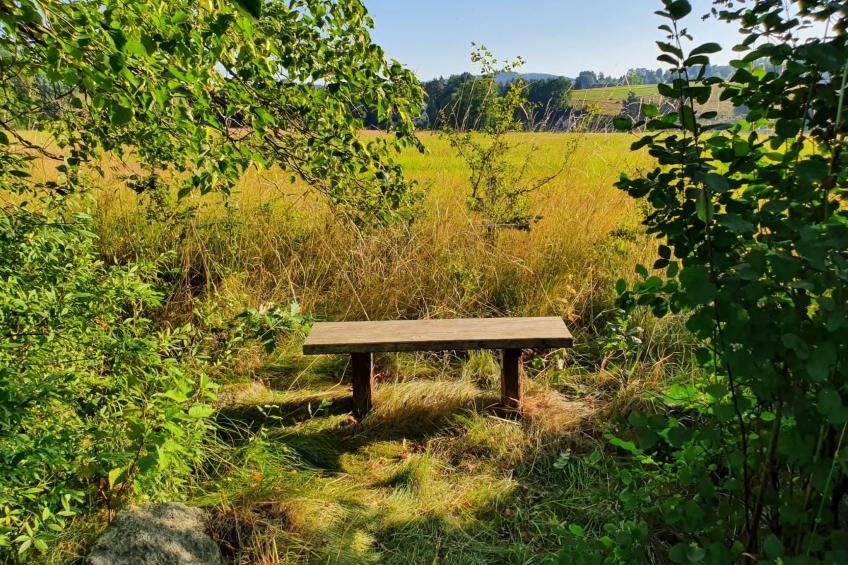 Jägerhaus - foto 50