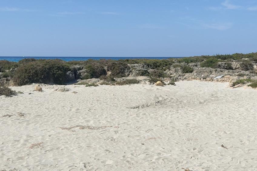 Residenza Antica Distilleria bei Holiday World - foto 25