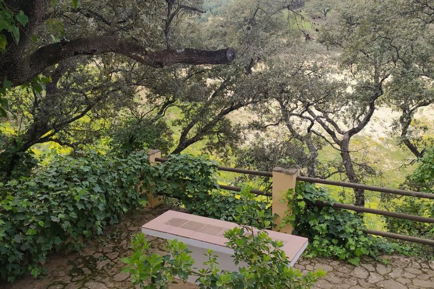 Finca "Casa Vieja" mit Bergblick - foto 37