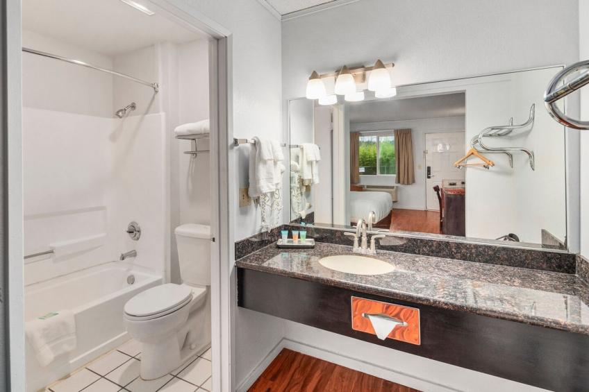 Premium Queen Suite - foto 14
