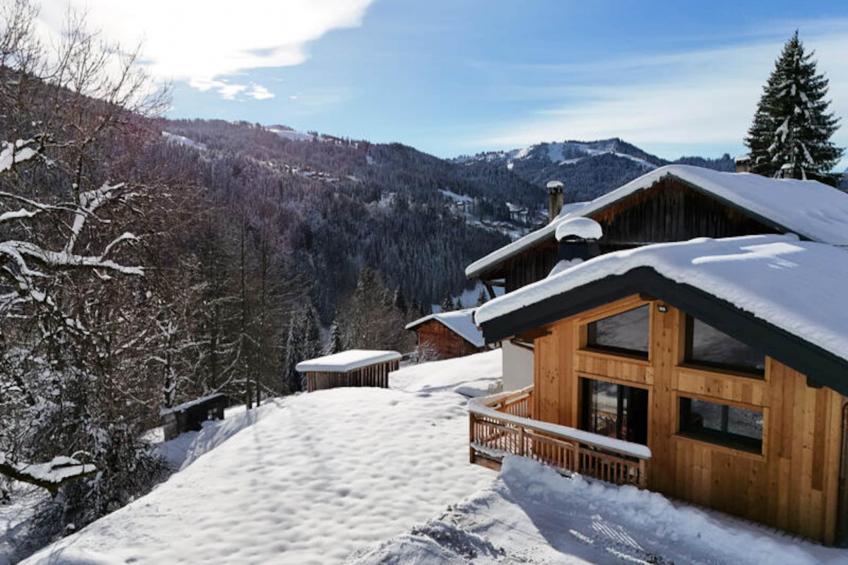 Chalets à Les Gets - foto 45