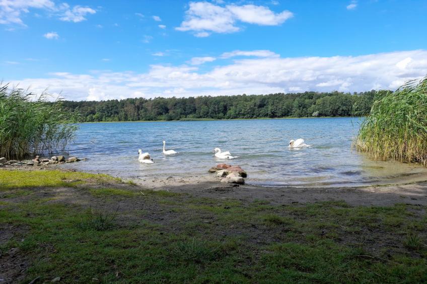 Luxus Appartement / 3 Personen - foto 35