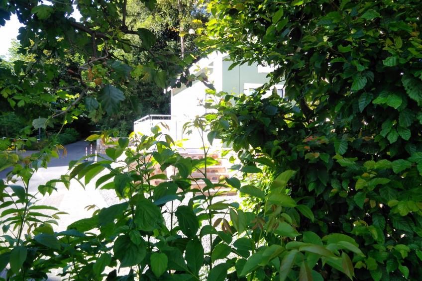 mit Grill in Bad Marienberg - foto 4