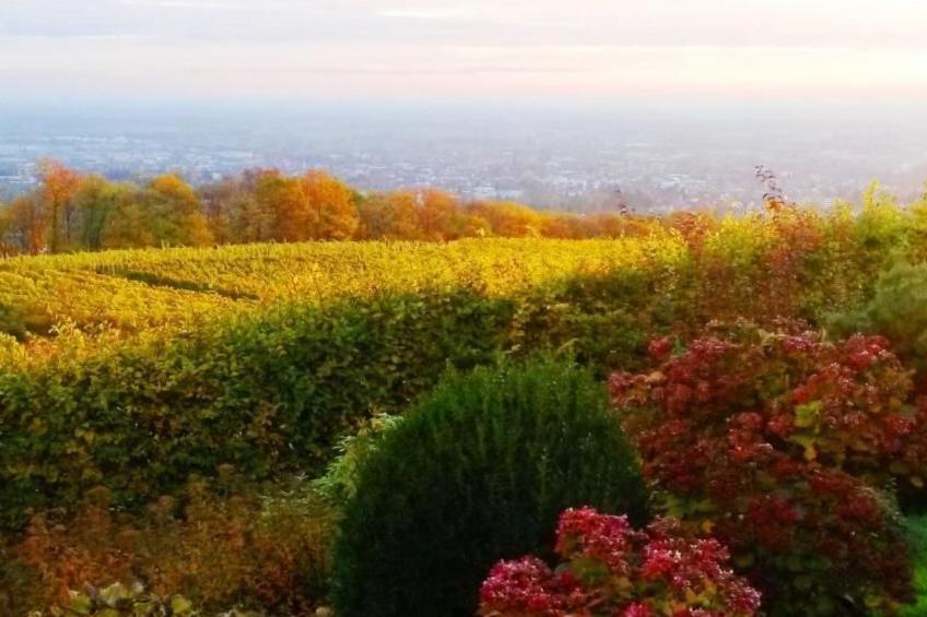 Traumwohnung - foto 33