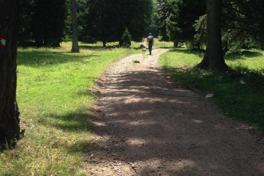 Chalet "Rennweg 114" mit Sauna - foto 80