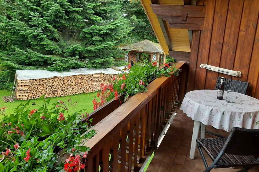 Seitz 1 in Bayerisch Eisenstein - foto 17