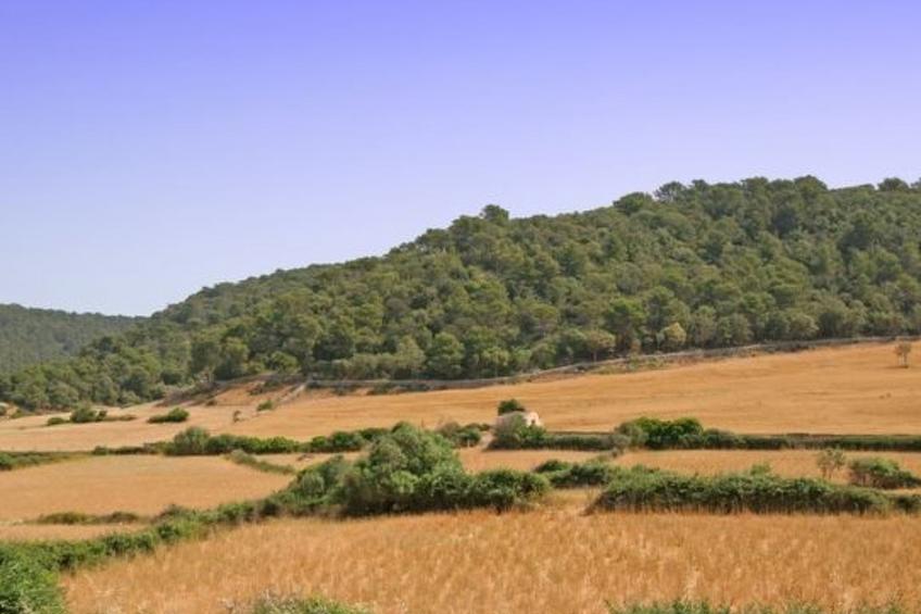 Wunderschönes Landhaus im Landhausstil mit Pool auf dem Land, in der Nähe von M - foto 5