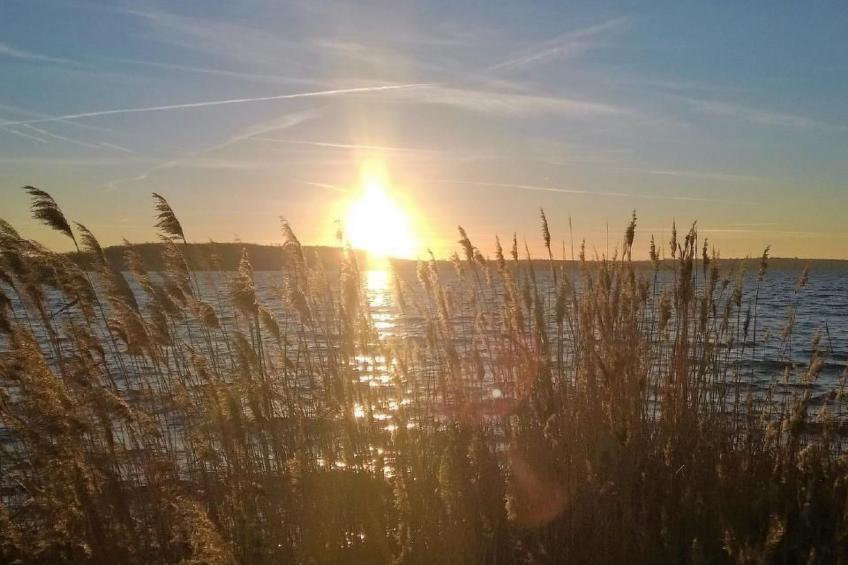 Seehaus Arielle mit Wassergrundstück - foto 24