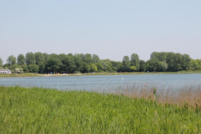 Lisakowski-Dorn - foto 12