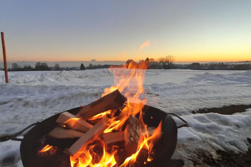 Gustis Hüsli - Alpensicht & Natur pur - foto 59