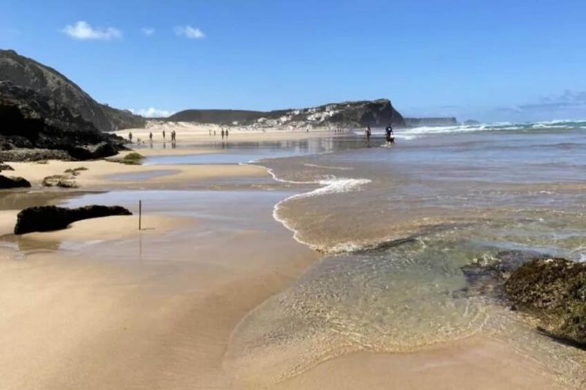 Duas Palmeiras - foto 58