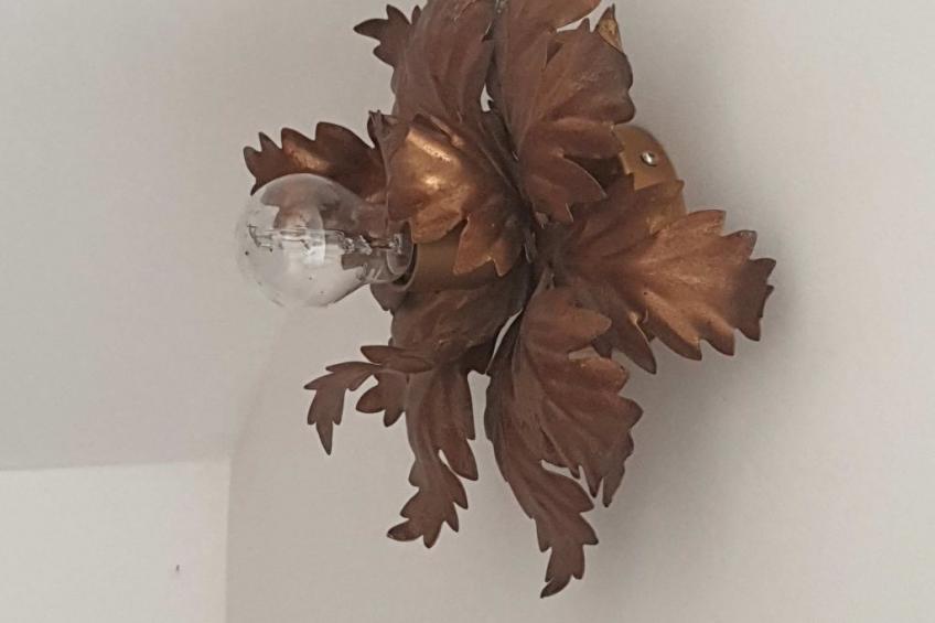 Le Pressoir de mon Père vor den Toren von Honfleur - foto 18